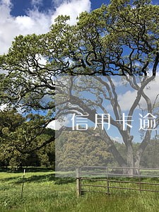 信用卡逾期 临时管制 信用卡逾期 临时管制